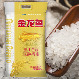 �����~��������L������5kg �|�����׾���10���L����|��������