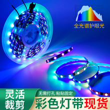 ��ɫ��led�NƬ24v�͉�����180�������p�����ճ�Շ�2838�􎧗l