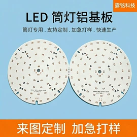 LED电路板;其他LED光源