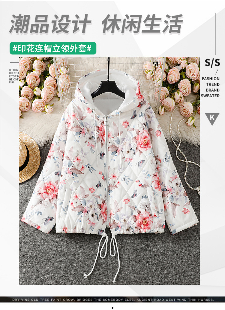 hmqViviiyNSAyin+WuaUt9Ly9Vn1po3Sornx