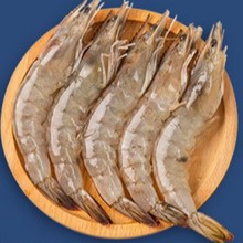 �r�����r����տ�������n�r�ش��r�}�����r����׌��r�Ƶ��������l