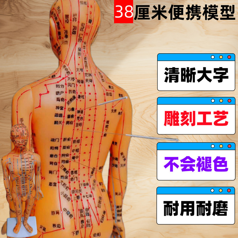 Chinese medicine twelve meridian human model acupuncture whole body small human body model map acupuncture points can be acupuncture small copper human body Chinese medicine twelve meridian human model acupuncture whole body small human body model map acupuncture points can be acupuncture small copper human body