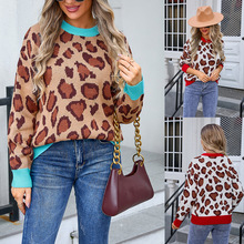 2025春装新款跨境女式印花毛衣外贸亚马逊爆款套头花朵大码毛衣女