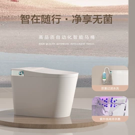 普通马桶;其他卫浴洁具;智能马桶