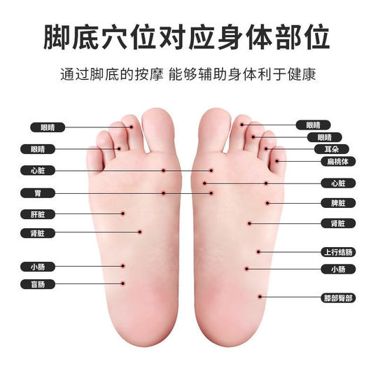 Foot Massager Household Foot Foot Point Massage Roller Foot Transferring Bone and Bones Free of Plug-in Support