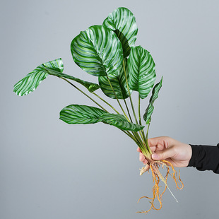 ����Gֲ�O���~�����~�����~΢���^��ֲ���҃ȿ͏d�b[�������~