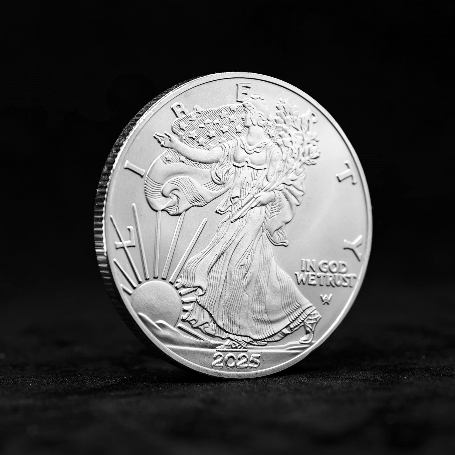 2025展翅鹰 铁 (7).jpg