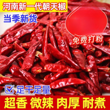 新一代干辣椒微辣特香辣椒段干货小米辣椒三樱椒河南朝天椒500g
