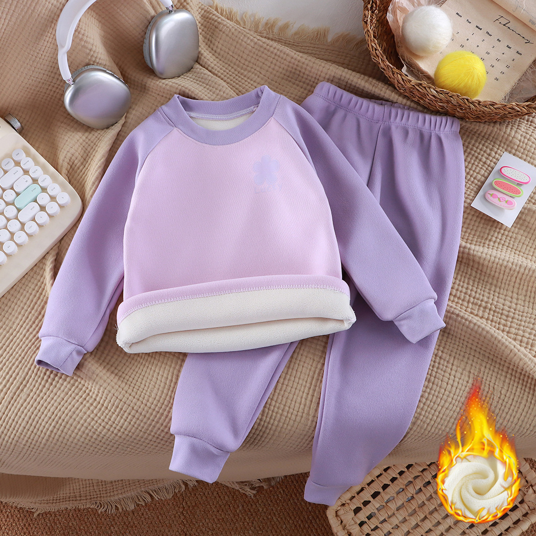 KtK01 Violeta