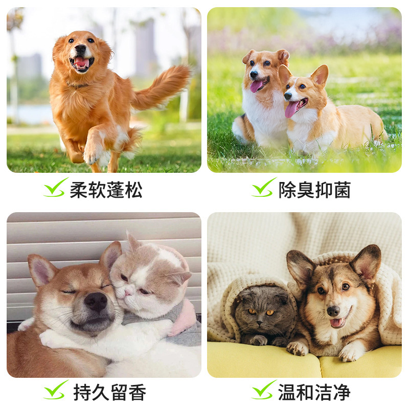 ペット犬シャワージェル長期持続フレグランスゴールデンレトリバーテディ猫抗菌防臭バス用品シャンプー液体卸売|undefined