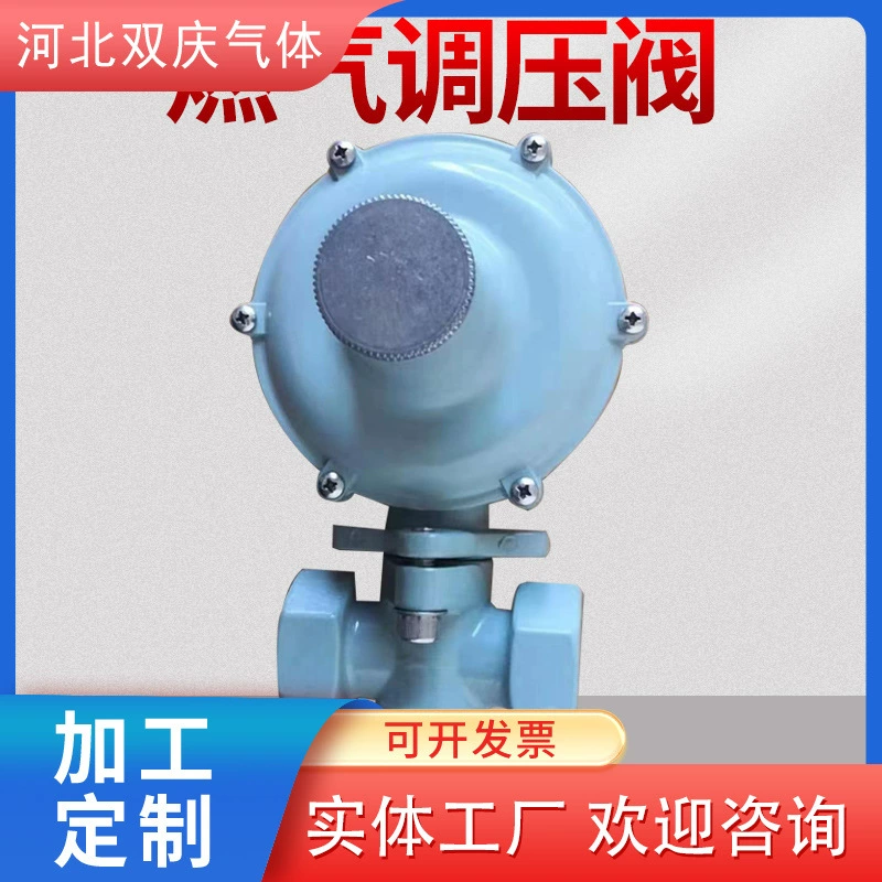Регулятор давления газа для промышленных предприятий, регулятор газификатора, регулятор природного газа для промышленных трубопроводов СПГ, редукционный клапан для СПГ