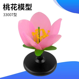 教学仪器;教学演示用品;试管、滴管