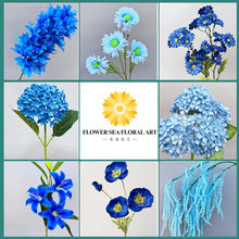 �{ɫ���滨��c�û��{ɫõ������m��Y�廨�{ɫ�ٻ������ɴ��l