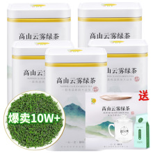 大份量罐装绿茶2024年新茶高山云雾日照雨前浓香耐泡炒青松阳香茶