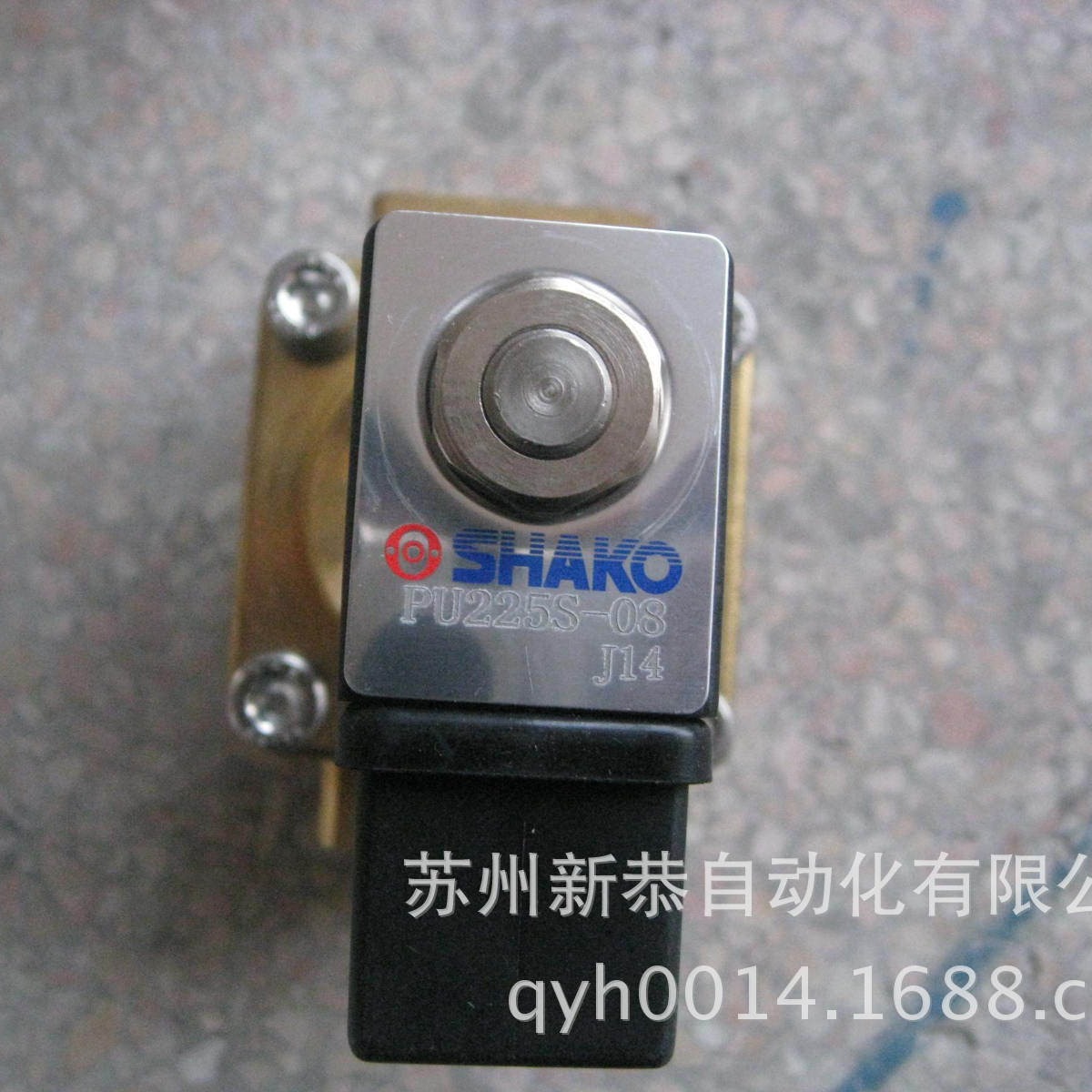 新恭电磁阀08AC220V阀SA21330DXSNT水阀脉冲阀蒸汽适用高温适用