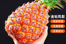 【亿果争鲜】海南金钻凤梨新鲜水果应季芒果凤梨特产大果无眼包邮