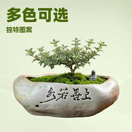 家用室内盆景粗陶花盆陶瓷大号仿石造型绿植造景创意花器批发