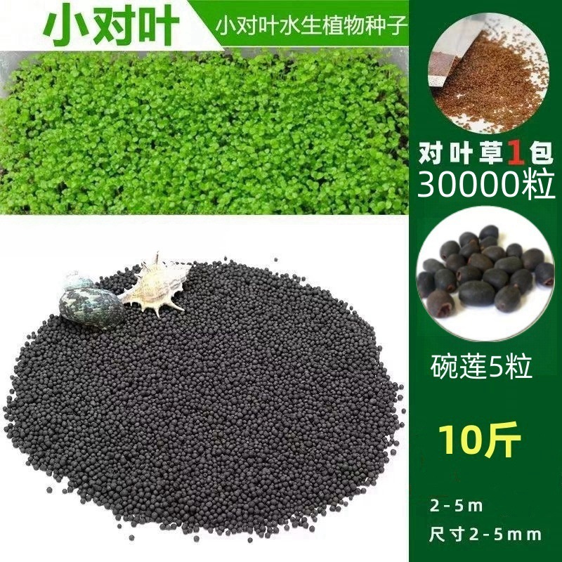 [핫세일] 워터그래스머드 5kg - 작은잎 30,000개 + 그릇연꽃 5개 무료