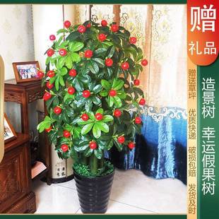 Fake tree fortune tree big living room indoor floor potted fake flower green decoration simulation green plant landscaping pendulum wholesale