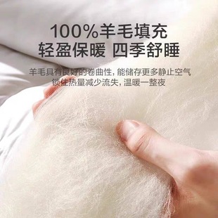 Factory Direct Sales Class a Maternal and Infant Grade Genuine Wool Quilt 100 Pure Wool Warm Spring, Autumn and Winter Quilt Core Nantong Home Textiles