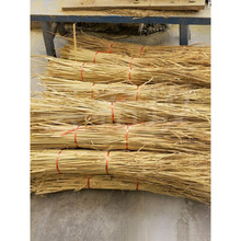 �ɵ����w�Sˮ���ն��Ž��B�۠��b��鵾�ݾG�������ൾ����