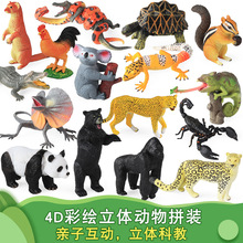 ����Ұ������ģ��4D���wƴ�b��������{�~�L�i¹�ϻ��{�Ӵ�����R