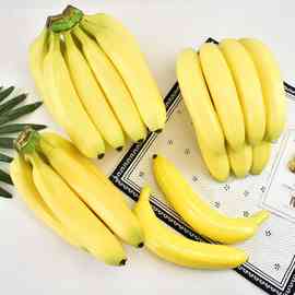 香蕉模型塑料香蕉串假水果店超市陈列摆设装饰道具儿童教具