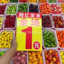 混批一元发夹发圈义乌摆摊货源仿真食玩爆款发夹地摊一元模式批发