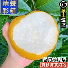 �������������r����ˮ���Fժ���������ЋD�������l�����ؼ�Ĭ�J�