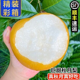 �������������r����ˮ���Fժ���������ЋD�������l�����ؼ�Ĭ�J�