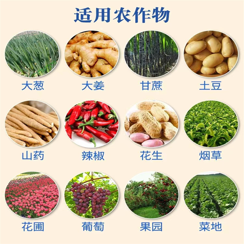 微信圖片_20221022135221