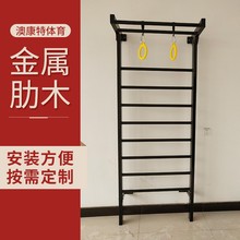 厂家供货肋木架室内康复训练设施跳舞压腿架引体向上家用健身器材