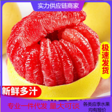 【一件铺货】现摘红心柚蜜柚新鲜水果柚子对接电商直播产地直发