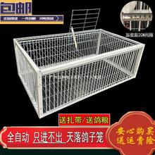 ����\����ֻ�M�������ӻ\����ץ���\����\����ȫ�Ԅ������\�B�\