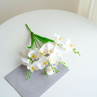 ���~5��20�^�����m���滨����c�Ҿ�ܛ�b�zӰ�Ɍ��ܑ�����滨��