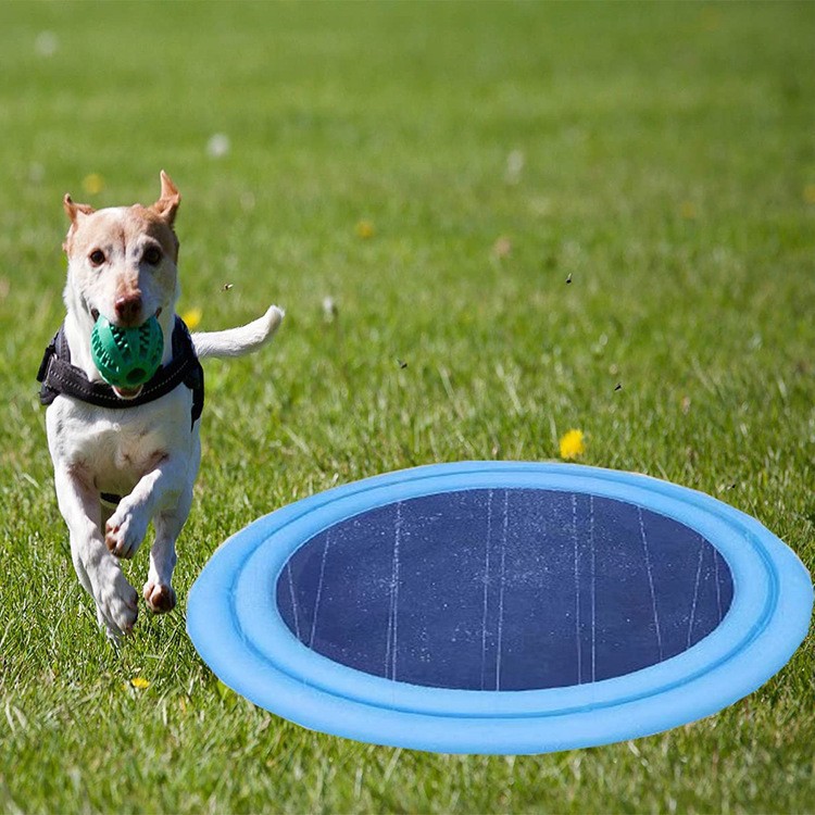 Niños al aire libre de agua de césped de agua
