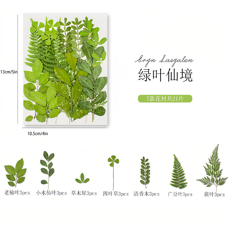 干花diy材料包永生花压花片押花草手工滴胶书签真花植物树叶标本|undefined