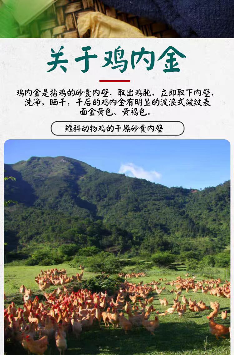 Roasted Ji Nei Jin Powder (Gallus gallus domesticus) — Food-Herb Digestive Support, 500g overview