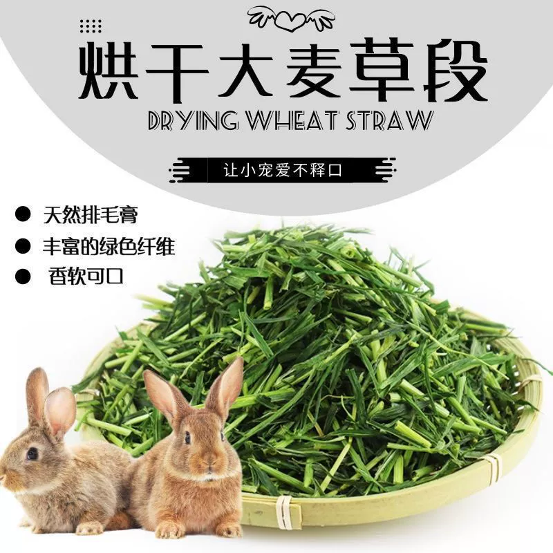 烘干麦草新鲜牧草龙猫猪食用饲料天竺鼠豚鼠仓鼠干草宠物兔子工厂