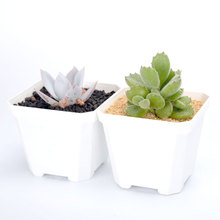 10*10cm��׷����⻨�����ϻ���Ӻ����ֲ��С����������籭