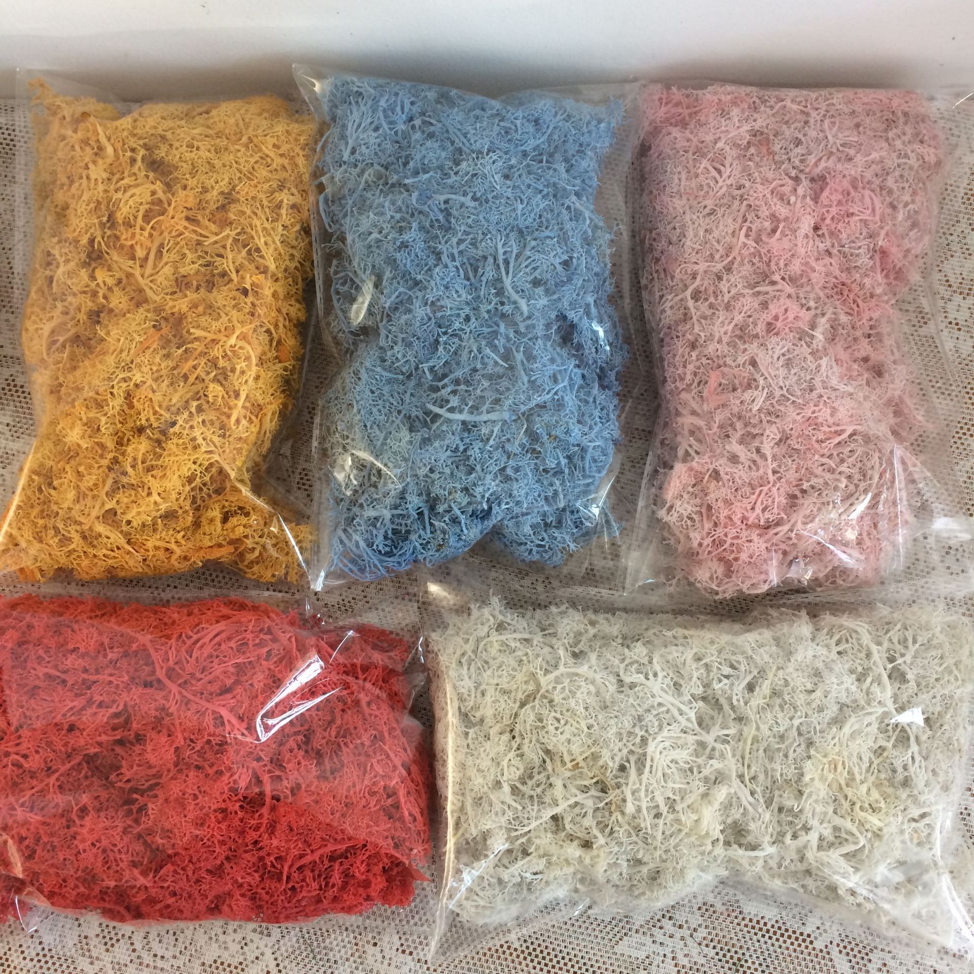 小粒袋装100g永生苔藓球模型DIY练手素材微景观拍照装饰手工材料
