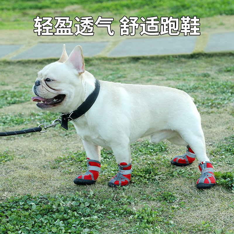 主图2.jpg