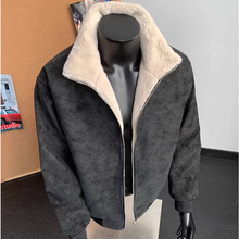 2025������ʿƤëһ�w�Ӻ����qPUƤ�A�˸��L��ů���\��H����