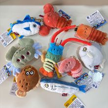 ��ϵ�P�����������r�ϰ�ë�q�����r�����~������rƴ�P����ʹ��