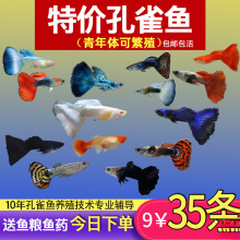 ��ȸ�~С�~�Ꭷ�~ȫ�N�������B�^�p�~С�͵�ˮ�~����~