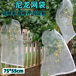 �S�������W��ˮ�����x�����B��ˮ�����N���N�Ӵ����N�����W���״�