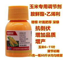 圣鹏30%胺鲜酯乙烯利玉米增产抗倒伏辣椒催熟催红调节生长调节剂