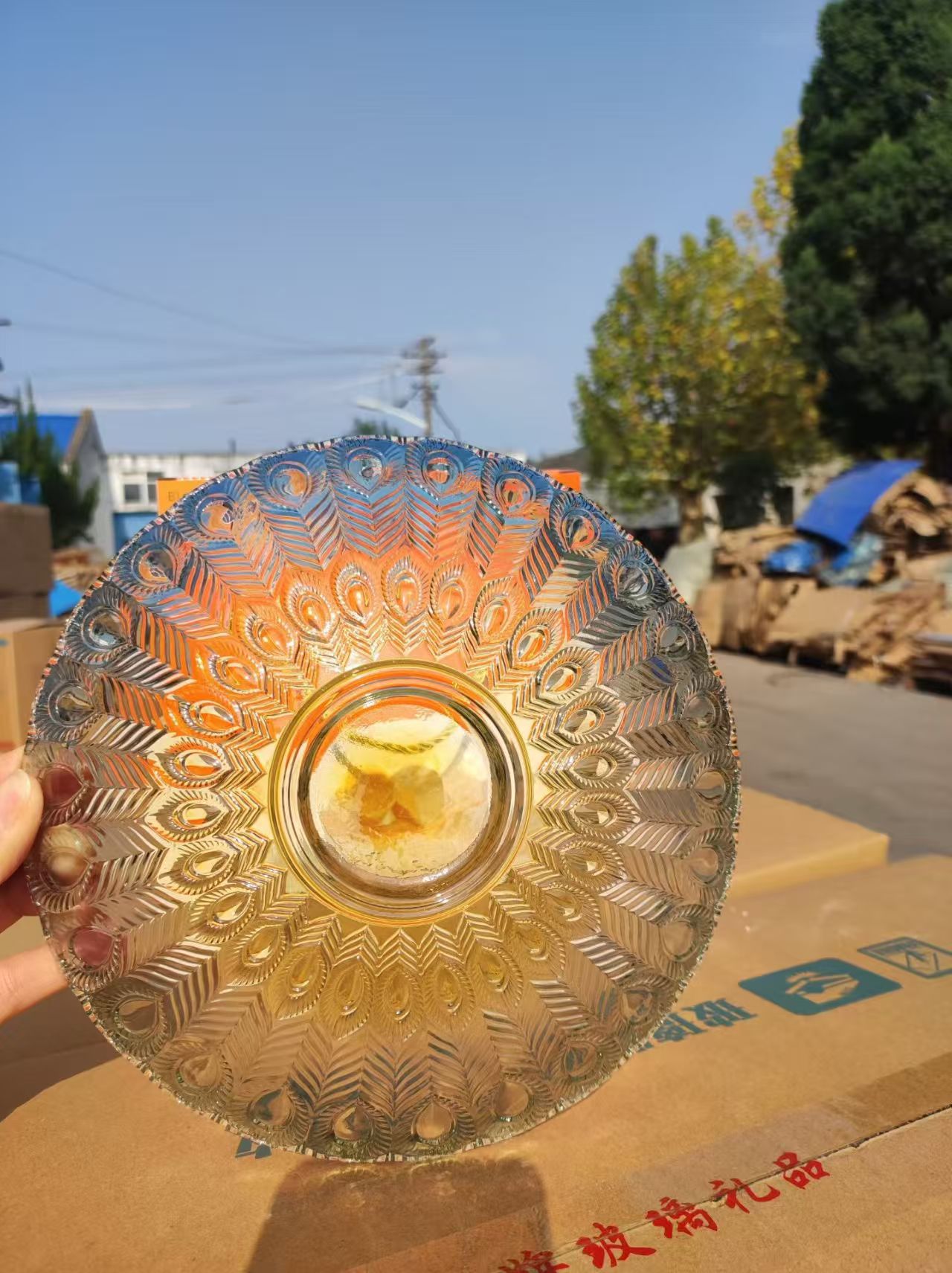 微信图片_20251126121918_456_6