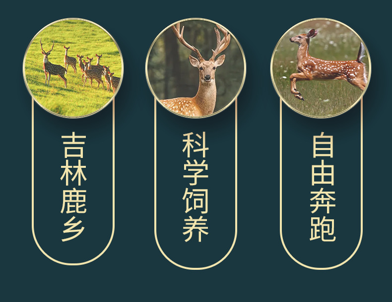 Deer Antler Base Powder Lu Jiao Mao Fen 60g Box Traditional TCM Wellness for Seniors key features
