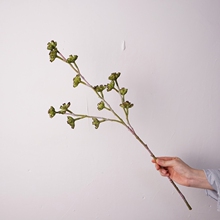 ���W��ɫ����������ָ������͏d�����[�O�bٻ��Gֲ�Ĕz����